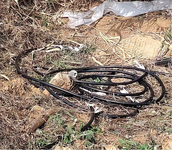 1678176898157548.png 10.png